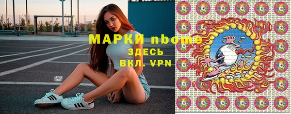стаф Алзамай