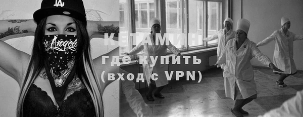 стаф Алзамай