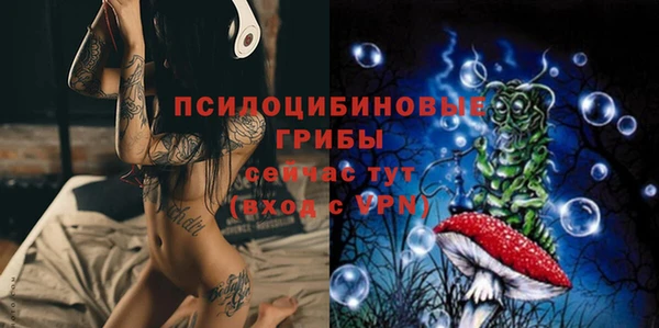 стафф Алексеевка