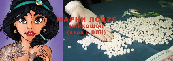 стаф Алзамай