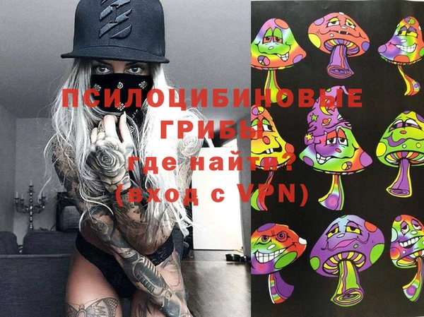 стаф Алзамай